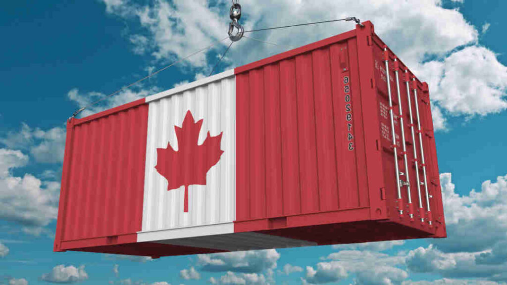 Canada Maple Leaf Container